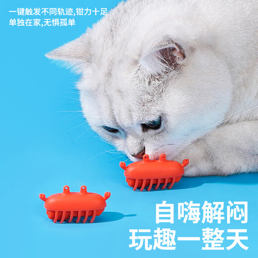 zeze猫玩具逗猫棒电动解闷猫猫玩具自动猫咪玩具自嗨小猫幼猫