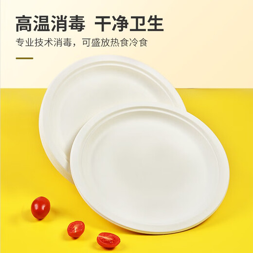 Temeiju disposable plate 10-inch cake fruit paper plate thickened biodegradable dinner plate cutlery 30 pieces 26cm