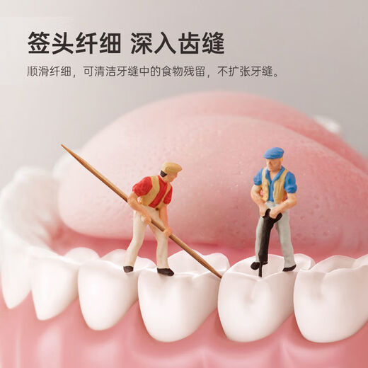 Camellia disposable carbonized double-ended bamboo toothpicks, 1 can, 460 pieces for household use