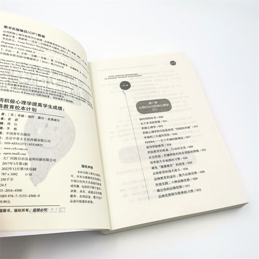 运用积极心理学提高学生成绩：品格教育校本计划（积极心理学应用于教学的开山之作，“影响教师的1009787515345680[英]蒂娜*瑞伊，露丝*麦康威尔中国青年出版社