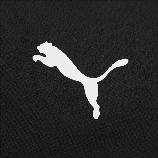 PUMA Men's Slim Mountain Outdoor Functional Sports Zipper Hooded Woven Jacket 848287 Olive Green-02 M (175/96A)