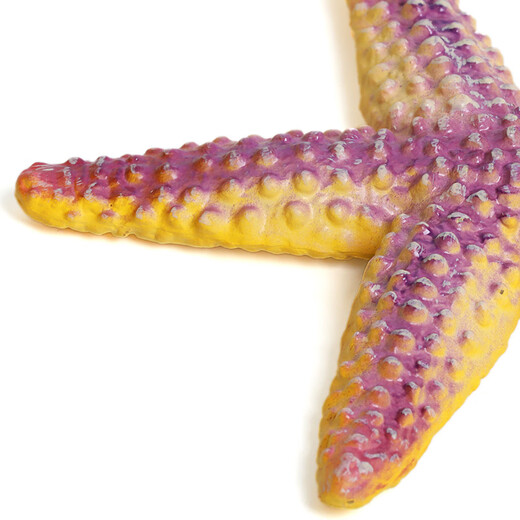MECHILE Marine Animal Model Set Toys Simulation Biology Blue Whale Crab Starfish Sea Horse Anemone Jellyfish Otter Lobster Starfish