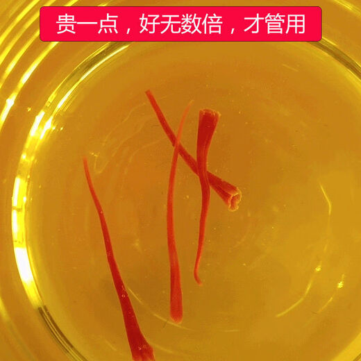西藏藏红花非伊朗西红花西藏正宗泡水喝臧红花茶5g10g 精选藏红花【特级】20g