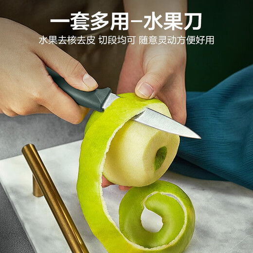 九阳（Joyoung）刀具套装切菜刀厨房家用切肉刀切片刀水果刀刀座四件套T0163 