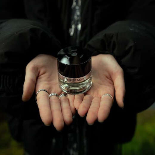 Mercedes-Benz Original Car Perfume Maybach S450 Original Perfume Aromatherapy Original Warehouse Guarantee Pacific Mood Series