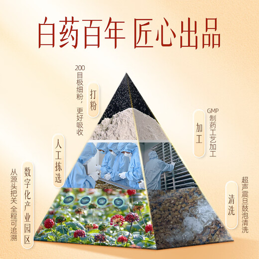 Yunnan Baiyaobao Qi Sanqi Extreme Fine Powder 100g / Bouteille Yunnan Wenshan Industrie Sanqi Powder Powder Tianqi Décoction raffinée Dispersant la stase sanguine pour arrêter le saignement