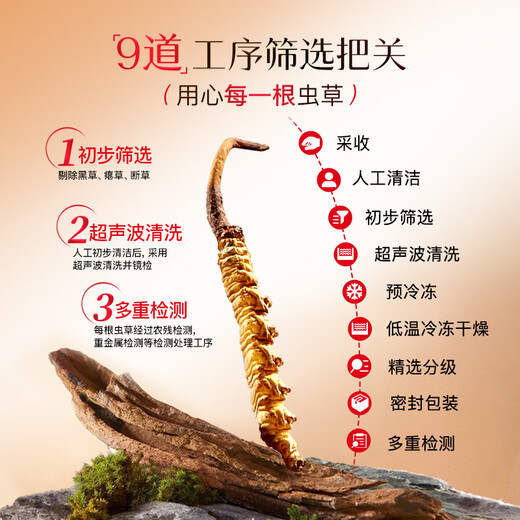 Eu Rensheng Cordyceps gift box Dried Cordyceps nourishing gifts for insects full of body nutritional products for elderly people 1 box 30g 3-4 roots/g
