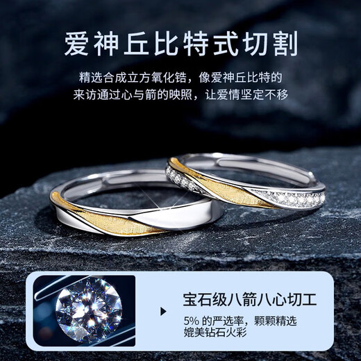 Dirholl PT950 platinum ring for couples to fall in love together, a pair of rings to express love and a proposal ring, 520 Valentine's Day gift for girlfriend, light luxury model, Mobius ring, without engraving