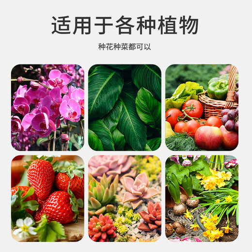 Devodo Kiryu sand 2.5kg (3-6mm) flower pot bottom mixed with soil backfill water-retaining breathable hydroponic soilless cultivation matrix