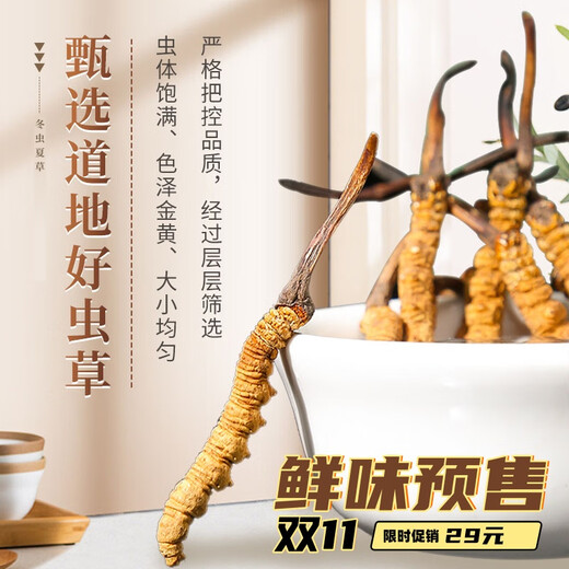 Nagqu Cordyceps Cordyceps Cordyceps Tibetaner Nagqu Cordyceps 2 Stücke Trockenwaren Cordyceps Geschenke 50 Geschenkboxen 50 Geschenkboxen;