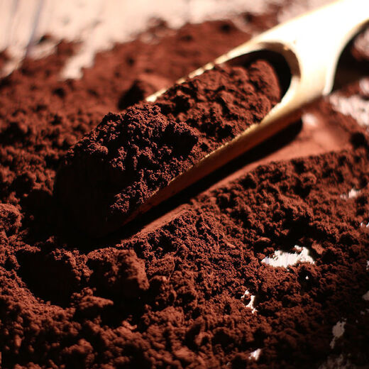 Jianyi Changbai Mountain Broken Shell Ganoderma Spore Powder First Grade Special Ganoderma Powder Natural Robe Powder Spore Oil 500g Free Measuring Spoon Changbai Mountain Ganoderma Spore Powder