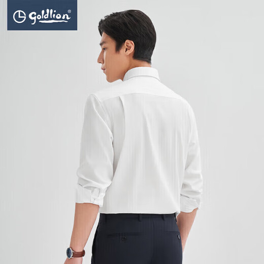 Jinlilai [nanofreies Eisen/Anti-Falten] Frühling und Herbst Langarm Shirt Herrengeschäftshemd Solid Color-White 00L1 L