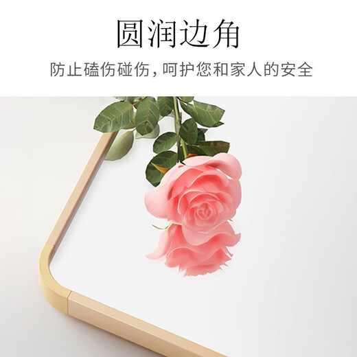 安尔雅穿衣镜子高清超白全身镜壁挂墙挂门后家用客厅大试衣镜
