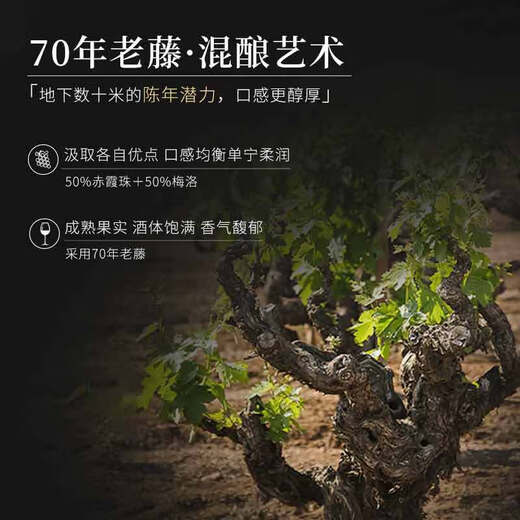 
LOUIS LAFON French original bottle imported red wine AOC cellar Bordeaux dry red wine 750ML*2 red wine gift box