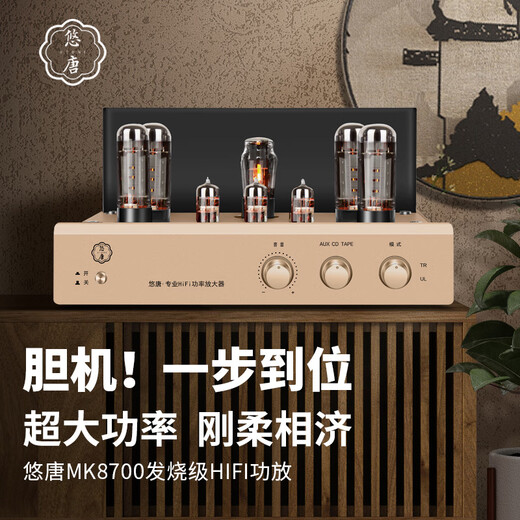 Youtang MK8700 Amplificador puro Amplificador Fiebre Grado Hifi Alta fidelidad Alta potencia