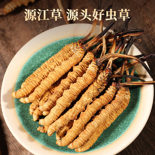 源江草冬虫夏草 高海拔新干虫草礼盒装 虫草滋补营养品送长辈 4根/克20根