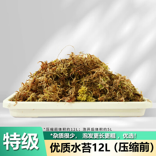 Devodo sphagnum moss about 12L (special grade) nutrient soil climbing pet turtle hibernating phalaenopsis orchid orchid moss planting potted plant
