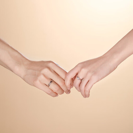 MZMZ Platinum Ring Eternal Couple Ring Pt950 Platinum Engagement Wedding Birthday Anniversary Gift for Girlfriend Light Luxury Style - Eternal Couple Ring