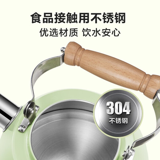 SUPOR Whistle Stainless Steel Kettle Composite Bottom Magnetic Flux Kettle 2.5L Green ES25TS01-G
