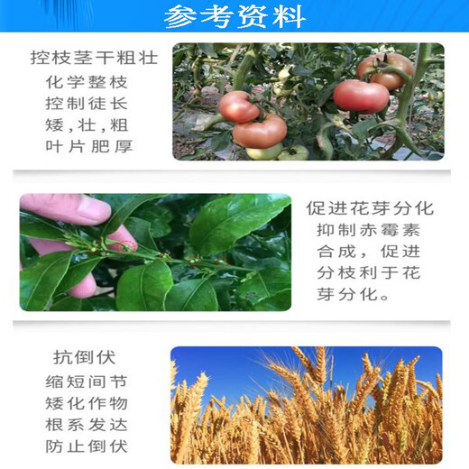 Senhuo 15% paclobutrazol garden lawn court orchid flower succulent dwarfing agent dwarfing, controlling growth and promoting bud differentiation regulator 200g/bag*1 bag