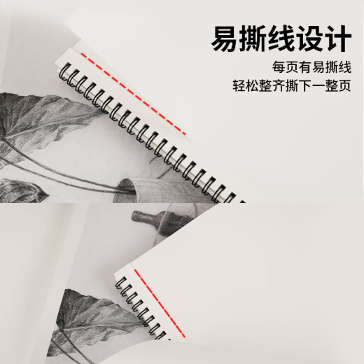 国誉(KOKUYO)Campus双螺旋图画本8K素描本 40页/本 WCN-CSKD1342