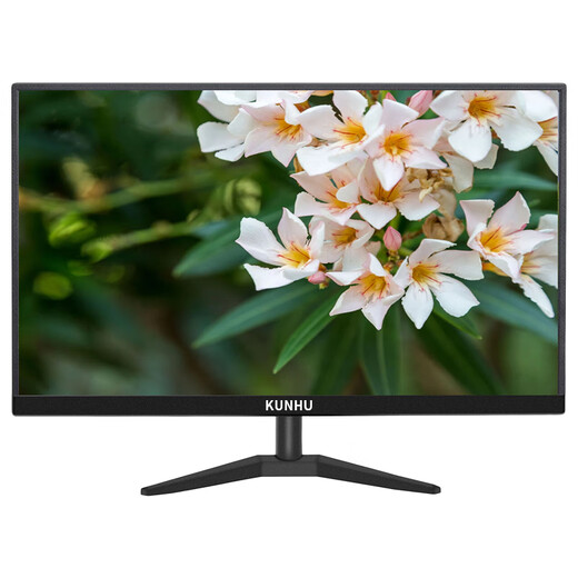 AOC/戴尔/联想二手显示器显示屏19/20/22/24寸台式液晶电脑监控炒股办公游戏高刷液晶显示器 24寸 鲲鹄显示器HDMI 98新