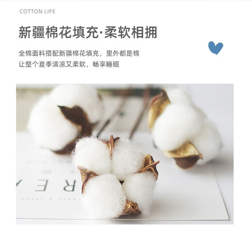 洁丽雅（grace）婴儿夏凉被儿童夏被纯棉空调被被芯夏季单人幼儿园可水洗薄被 汽车派对 110X150cm约1.1斤