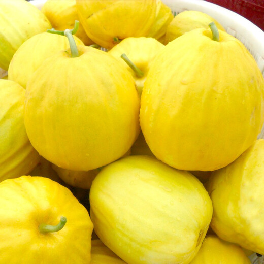 Farmer's Son R Ben Tianbao Melon Seeds Honey Melon Ugly Melon Seeds 100 capsules x 5 bags