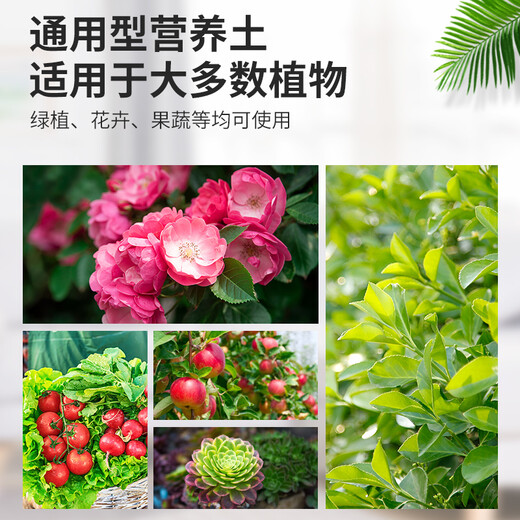 Huawoli nutrient soil universal 12L flower soil planting soil vegetable soil orchid succulent soil peat soil coconut brick organic soil