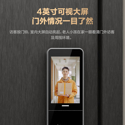 EZVIZ DL20FVS Face Large Screen Video Lock 3D Face Recognition Fingerprint Palm Vein Smart Lock Home Visual Cat Eye Doorbell Electronic Door Lock DL20FVS Extreme Gray Standard Lock Body