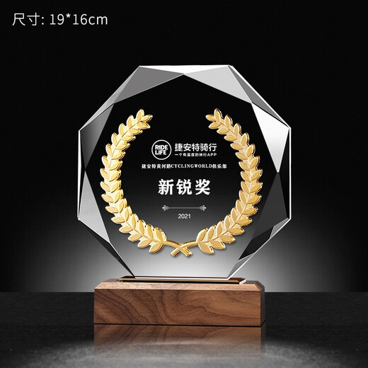 Feichuang Space und High-End-Holzkristall Trophäe Customized Souvenir Design und Produktion ausgezeichnete Trophäe Autorisierte Kartenpreisträgerin und Belohnungsdenkmale Sonderpreis Mini-Modell