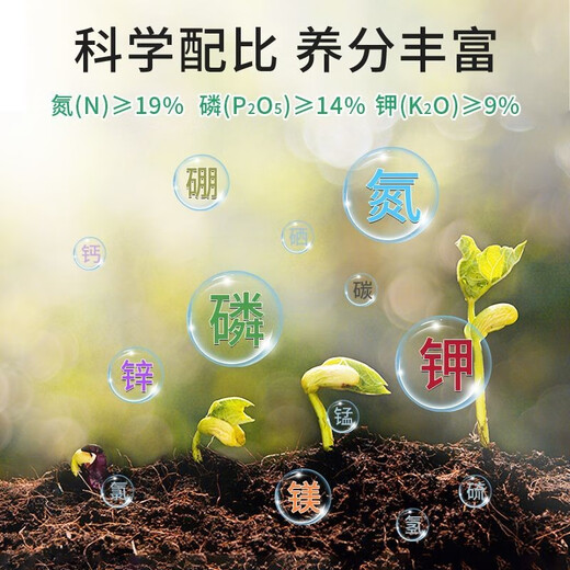 Special fertilizer for Podocarpus, organic fertilizer, compound fertilizer, base fertilizer, top-dressing fertilizer, water-soluble chlorophyll on the leaves for strong growth