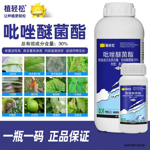 植轻松30%吡唑醚菌酯柑橘果树蔬菜草坪炭疽叶褐斑病绿色农药广谱杀菌剂