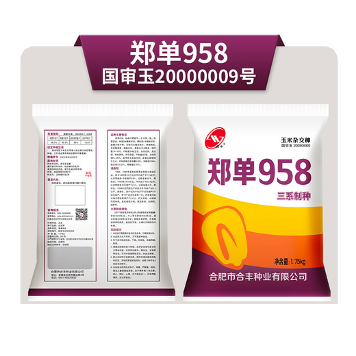 GJXBP early-maturing Zhengdan 958 hybrid field corn seeds, seed feed, fruit corn seeds, Guangdong Xiannuo No. 6/one mouthful of juice/100g national