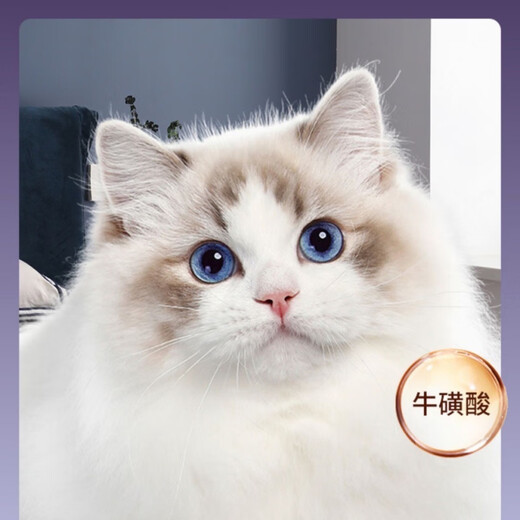 DiLe cat food 10kg20Jin Jin is equal to 0.5kg plus 500g full price cat food fish flavor adult cats and kittens large bag universal type chicken fish flavor discount code/Dile 10KG*1 bag