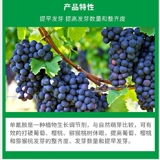 Beautiful bud 50% cyanamide sleep-breaking germination agent grape nectarine cherry kiwi fruit cyanamide monocyanamine growth regulator 250X40