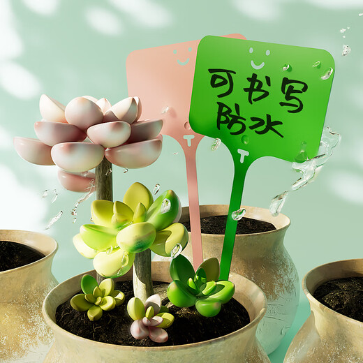 Benxinnong Pot de Fleur de Semis en Plastique Étiquette succulente Fleur Jardinage Sol Marque Plante en Pot Nom étiquette étanche Petite Carte de Prise Couleur mélangée 100 pièces (9,6 cm) Stylo Gratuit