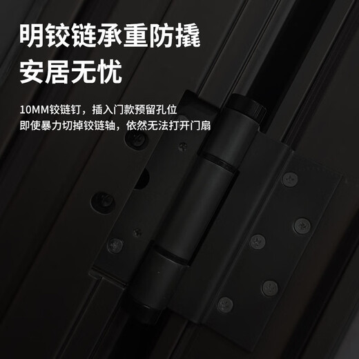 Tinggu Class A Дверь Дверь Вентиляция Дверь Дверь Домохозяйство Loxury Dogre Door Door Door Door Door Mother Door A8 Механический замок 1050*2150 мм [открытая консультация]