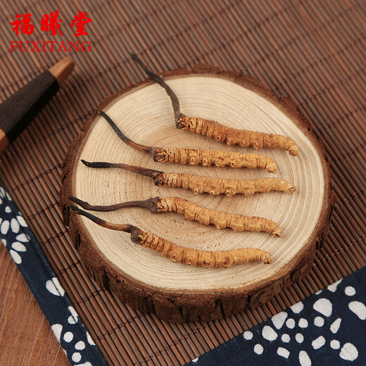 Fuxitang Cordyceps sinensis 5 Wurzeln/g 1 Gramm/Box ungefähr 5 Wurzeln
