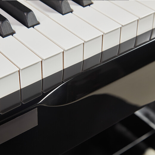 Bolansler piano omeler vertical piano Grand Piano Gradefing Home Machinery Machinerie importée allemand Piano G1W 120cm noir