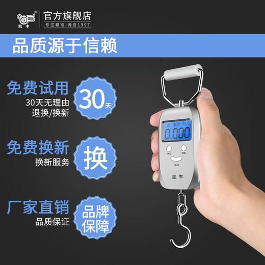 凯丰 手提电子秤手提秤便携式高精度家用快递称弹簧秤称重食物行李称 【充电款】银灰色+快充线50kg5g
