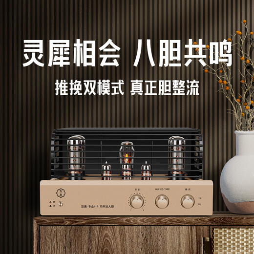 Youtang MK8700 Amplificador puro Amplificador Fiebre Grado Hifi Alta fidelidad Alta potencia