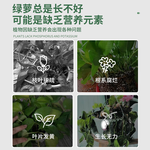 Devodo green radish special nutrient solution 600ml*2 bottles of gardening green plant flower fertilizer hydroponic potted organic green leaf liquid fertilizer