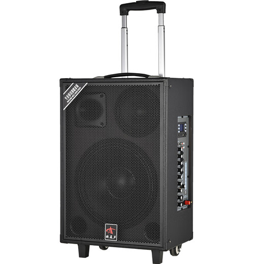 European and American sound 263 outdoor audio karaoke special all-in-one machine with sound card professional three-way singing high-power portable square dance Bluetooth trolley speaker with wireless microphone 12 inches 12 inches/263+2 microphones + spree