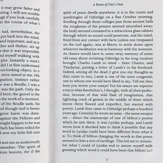 一间自己的房间 英文原版 A Room of One's Own