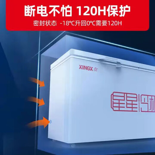 星星（XINGX）冰柜BD/BC-518G商用卧式大冷柜 冷藏冷冻转换保鲜冰箱 雪糕冰冻柜急冻速冻大冰柜 BD/BC-518G（约冻肉673斤）