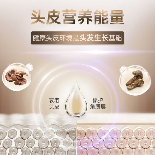 吕（Ryo）黑吕臻参焕活洗发水400ml  修护发质 柔顺发丝 洗发露蓬松洗头膏