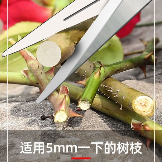 Yanran stainless steel fruit picking scissors, gardening scissors, pruning shears, imported grape pitaya scissors, special scissors for picking pepper, 3 stainless steel fruit picking scissors