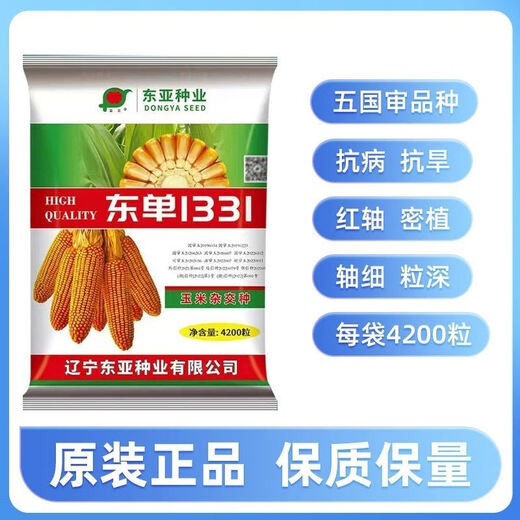 Wangyuanxing Dongya Double-National Review Dongdan 1331 Hybrid Corn Seed Small Steel Cannon - High Yield, Drought Resistance - Lodging Resistance - High Temperature Resistance - Dongdan 1331 (4200 grains) original factory quality and quantity
