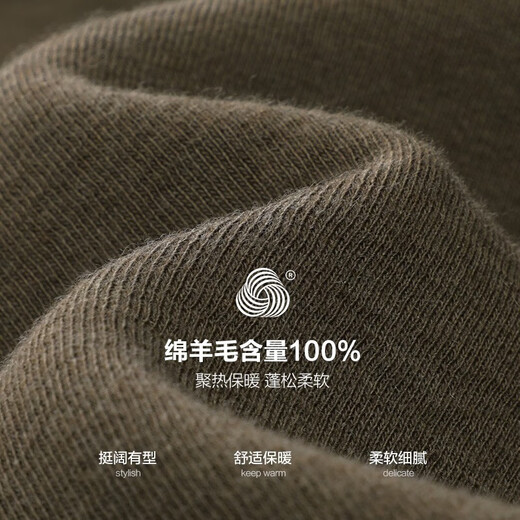 杉杉（FIRS）纯羊毛加绒毛衣男秋冬新款圆领打底休闲保暖厚针织衫677 卡其 2XL (185)